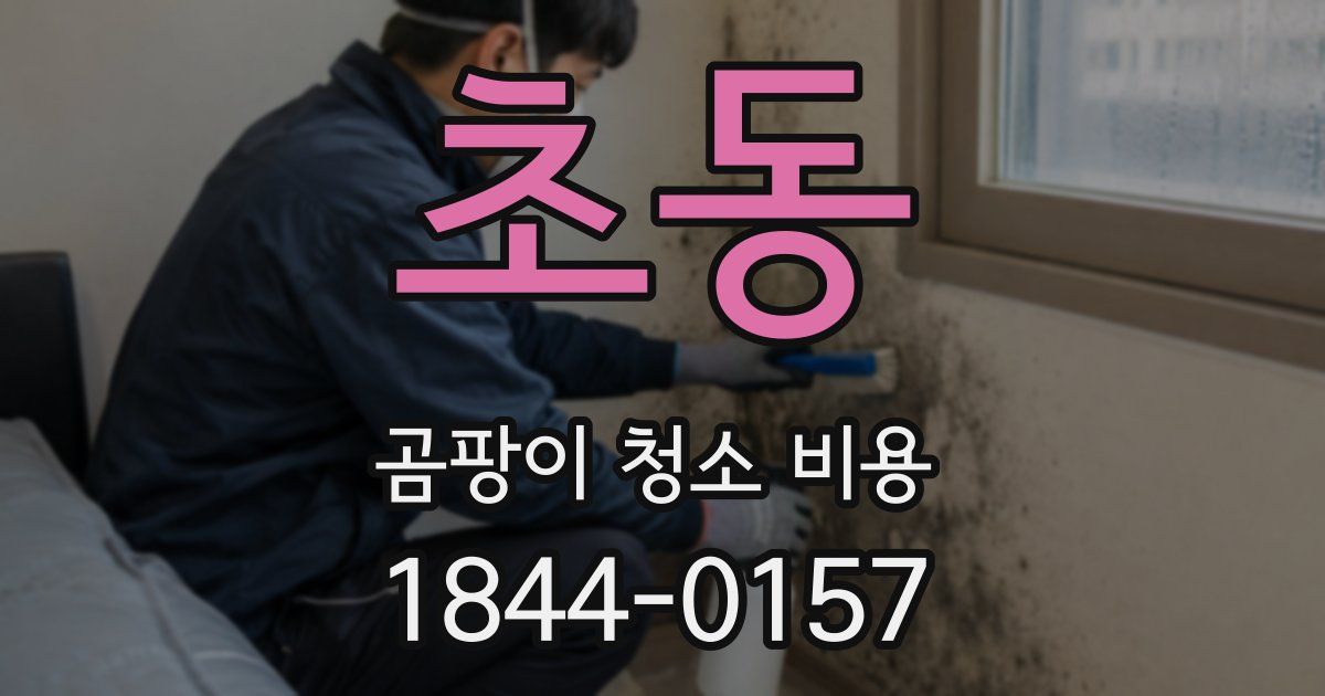 초동 곰팡이 청소 비용
