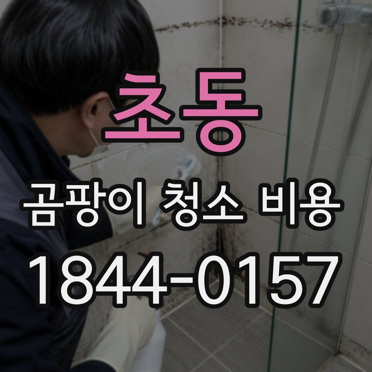 초동 곰팡이 청소 비용