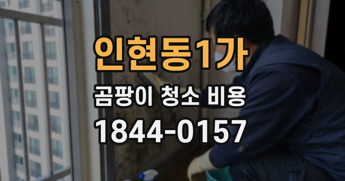 인현동1가 곰팡이 청소 비용