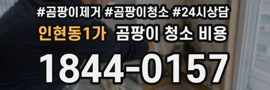 인현동1가 곰팡이 청소 비용