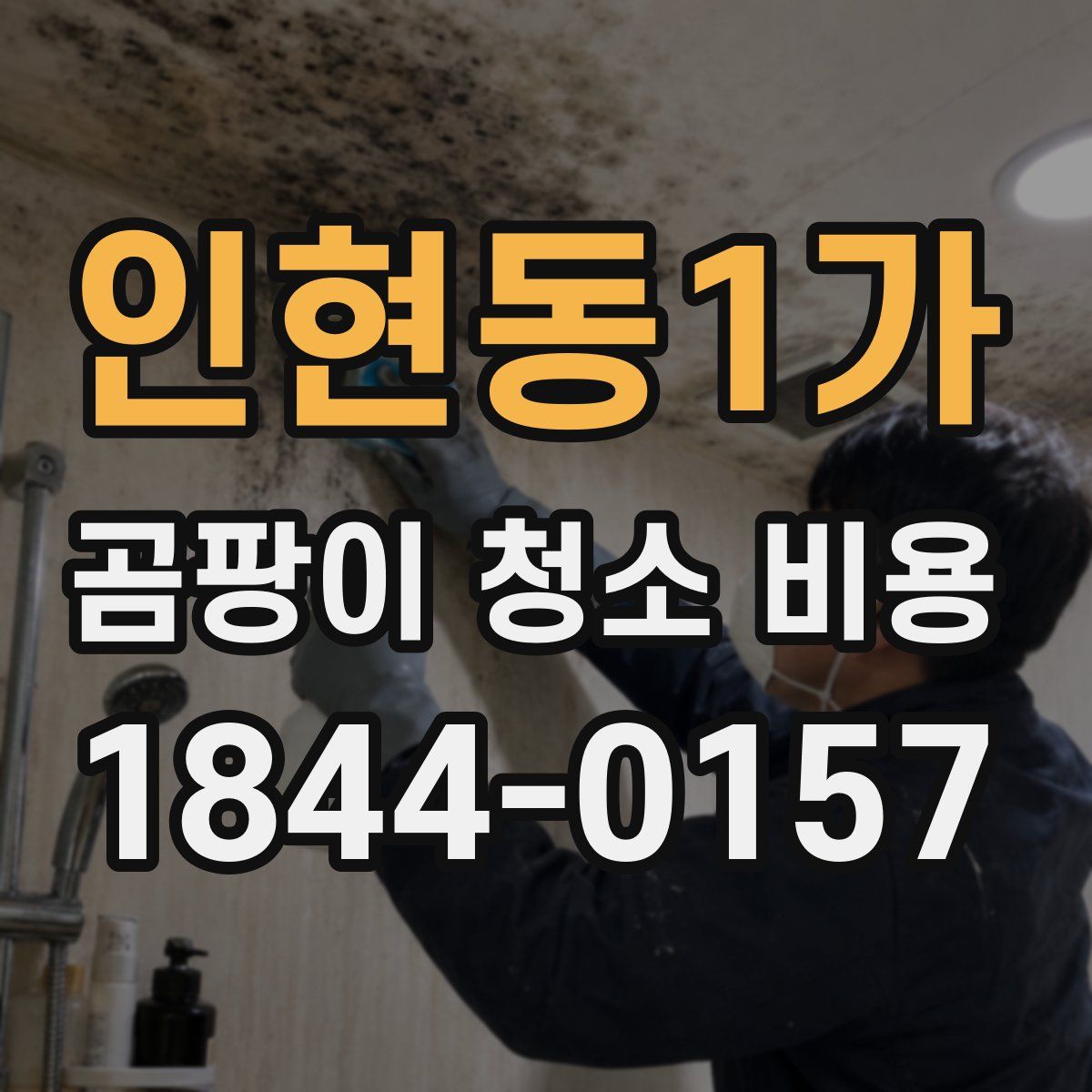 인현동1가 곰팡이 청소 비용