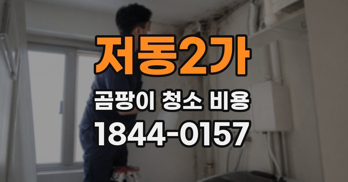 저동2가 곰팡이 청소 비용