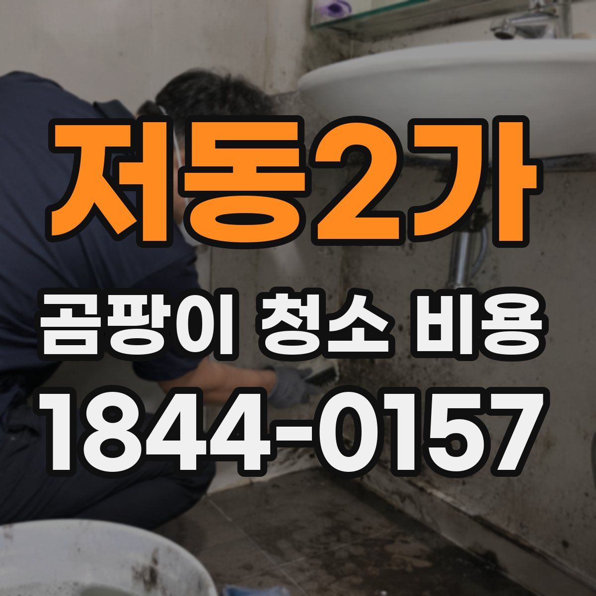 저동2가 곰팡이 청소 비용