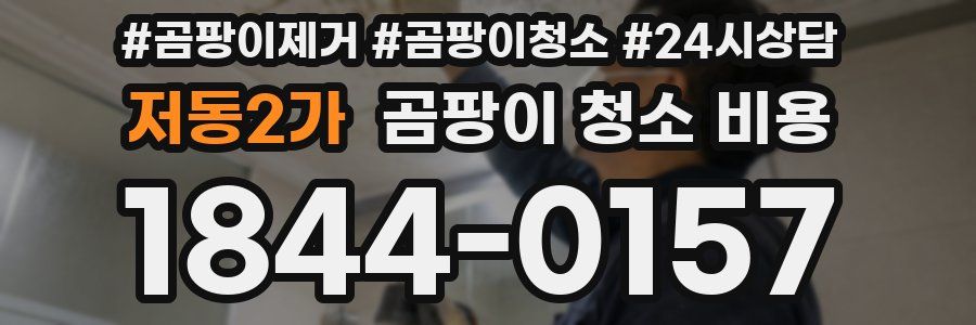 저동2가 곰팡이 청소 비용