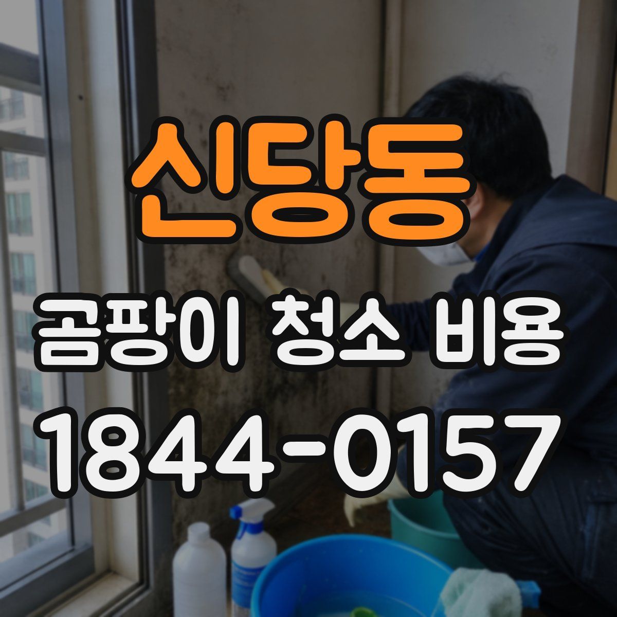 신당동 곰팡이 청소 비용