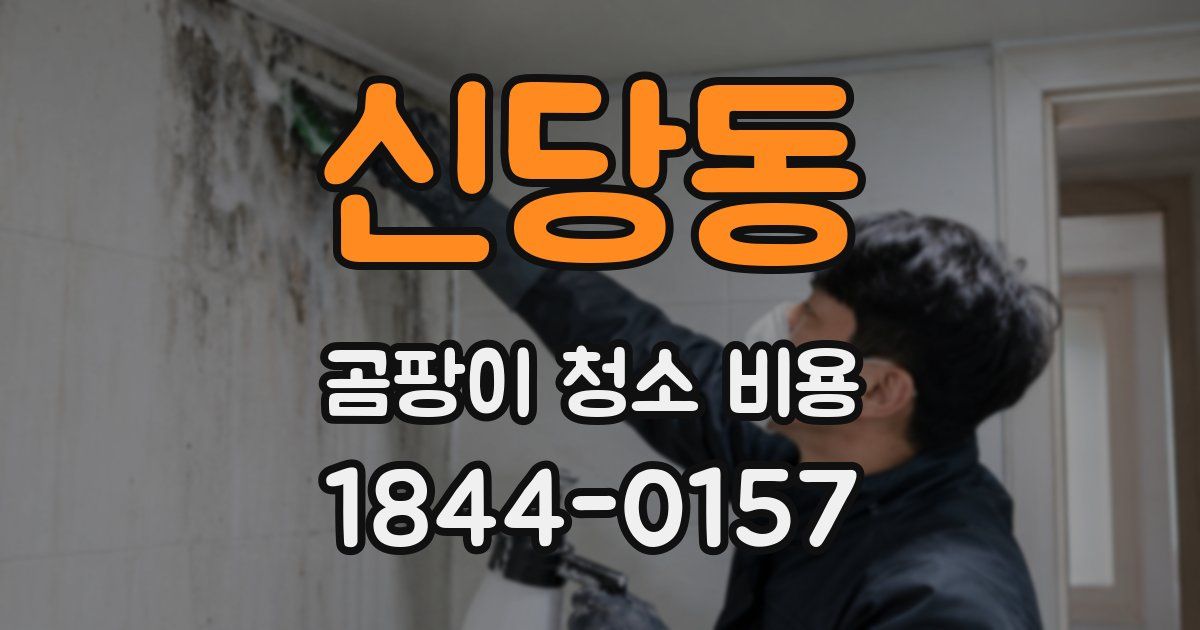 신당동 곰팡이 청소 비용