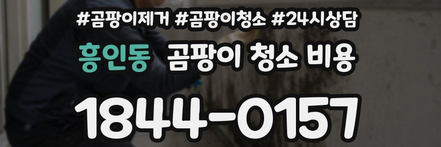 흥인동 곰팡이 청소 비용