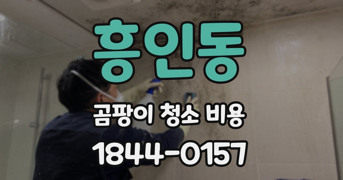 흥인동 곰팡이 청소 비용