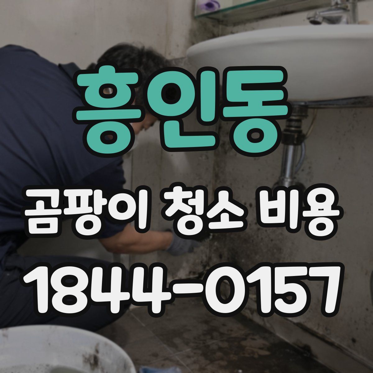 흥인동 곰팡이 청소 비용
