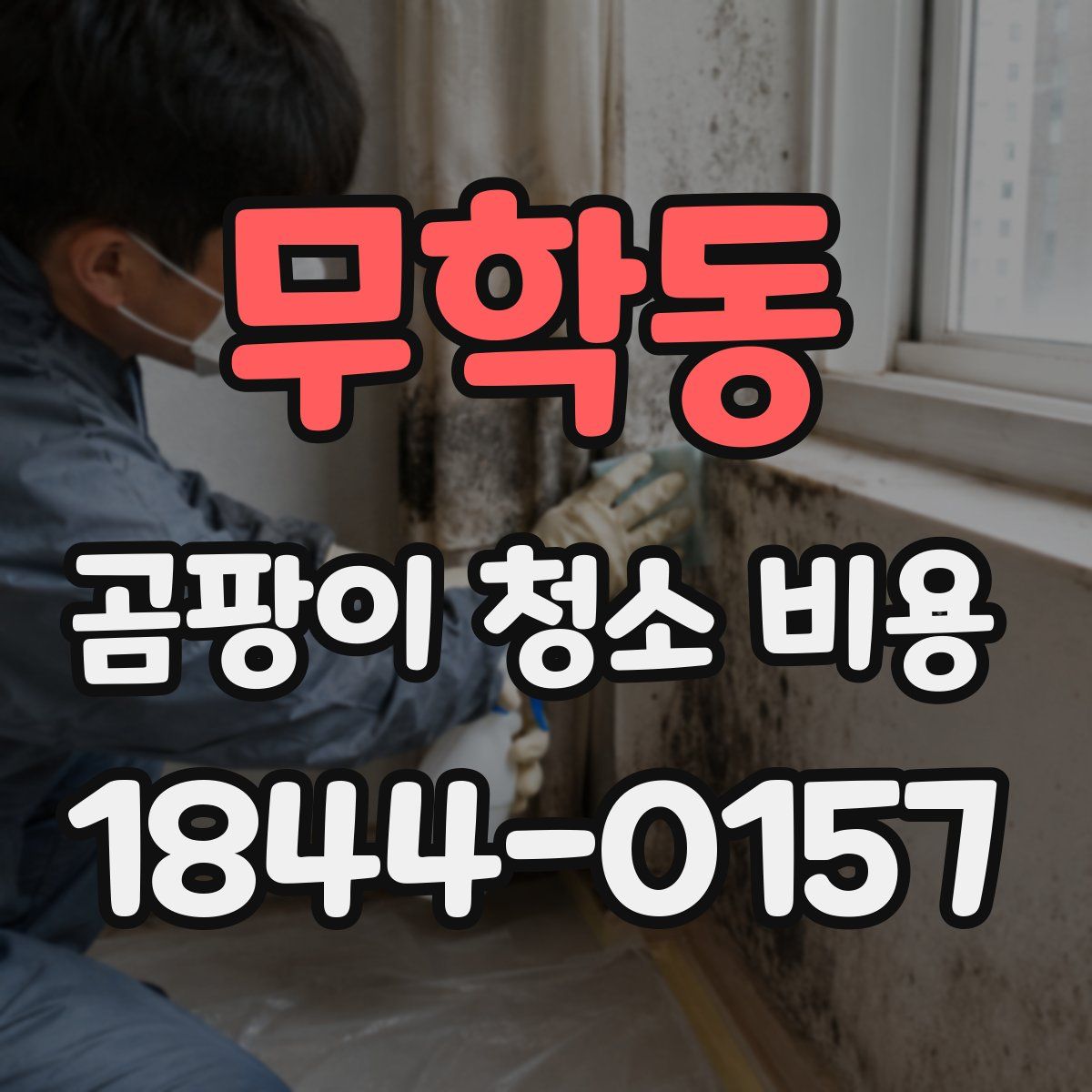 무학동 곰팡이 청소 비용