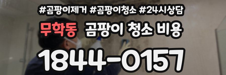 무학동 곰팡이 청소 비용