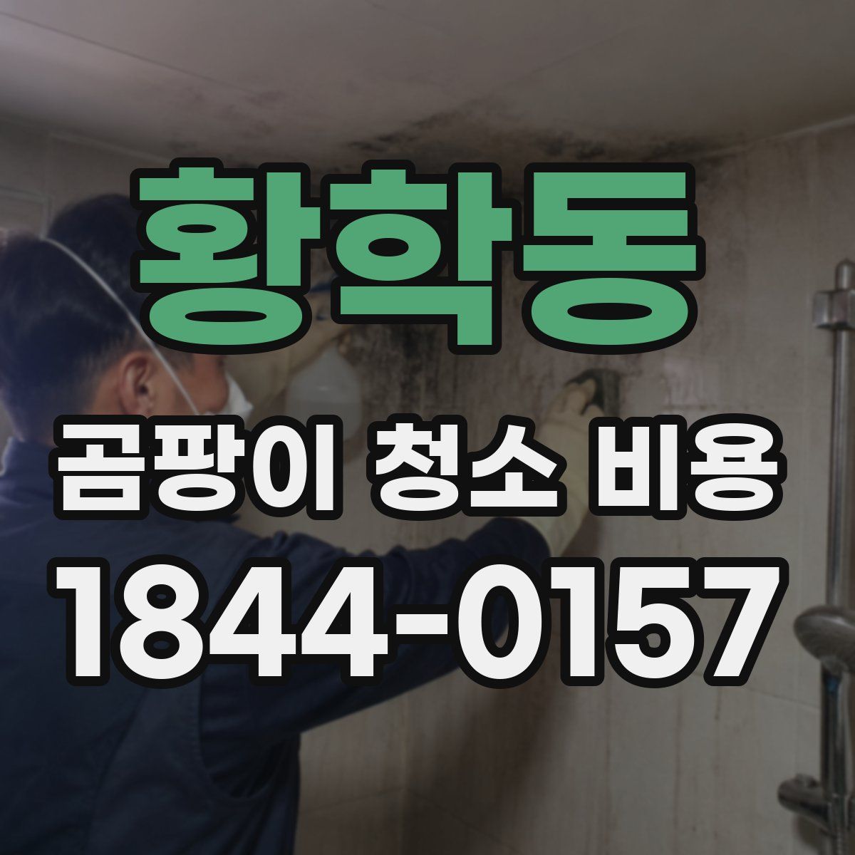 황학동 곰팡이 청소 비용