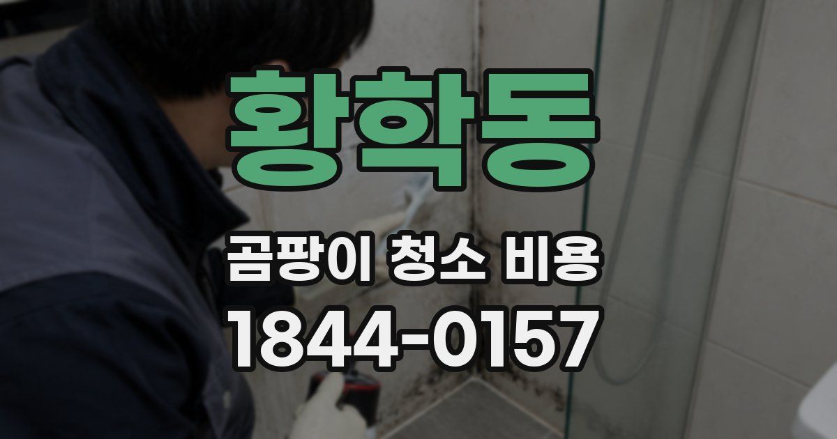 황학동 곰팡이 청소 비용