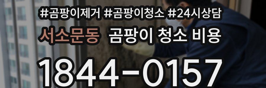 서소문동 곰팡이 청소 비용