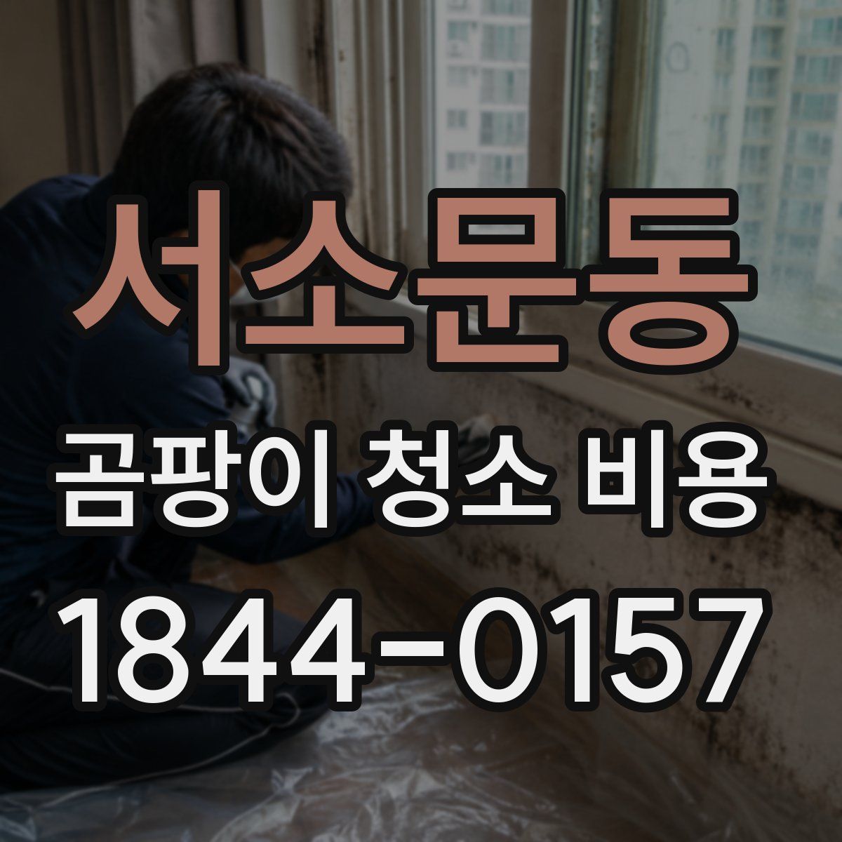 서소문동 곰팡이 청소 비용