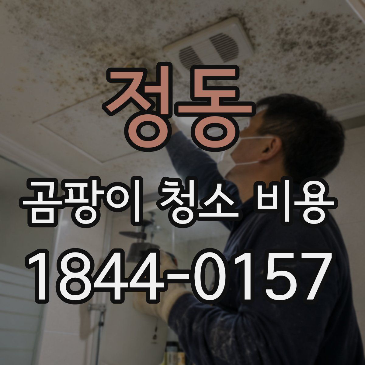 정동 곰팡이 청소 비용
