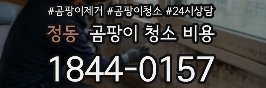 정동 곰팡이 청소 비용