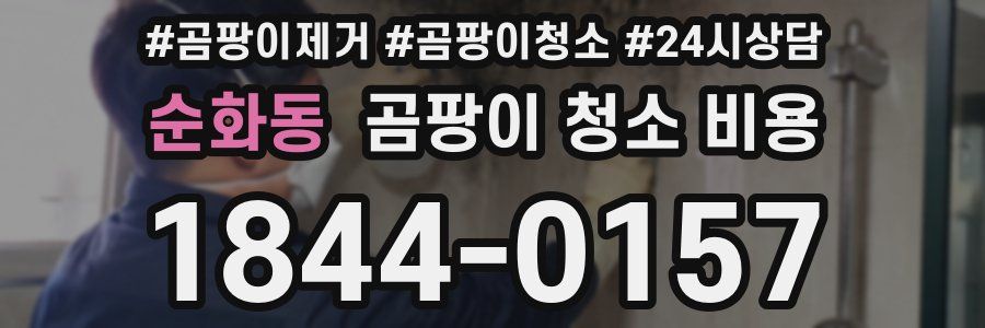 순화동 곰팡이 청소 비용
