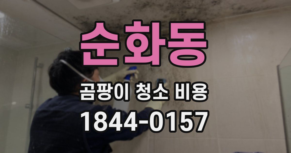 순화동 곰팡이 청소 비용