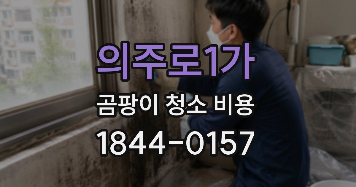 의주로1가 곰팡이 청소 비용