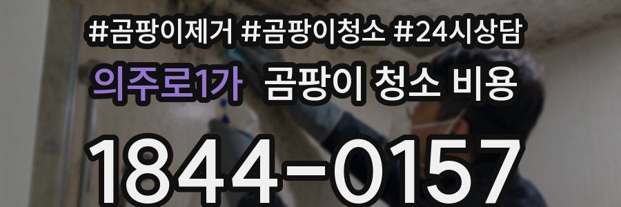 의주로1가 곰팡이 청소 비용