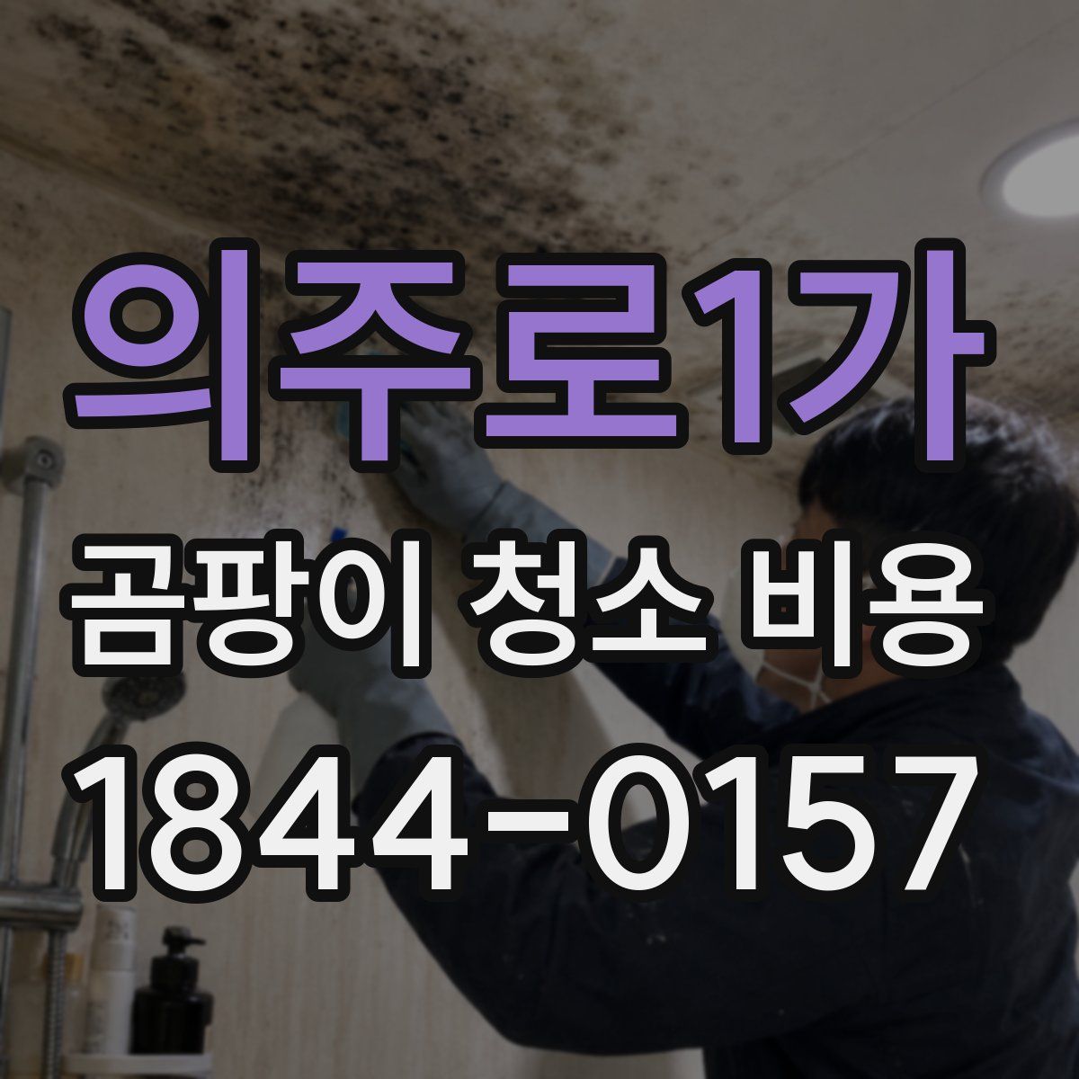 의주로1가 곰팡이 청소 비용