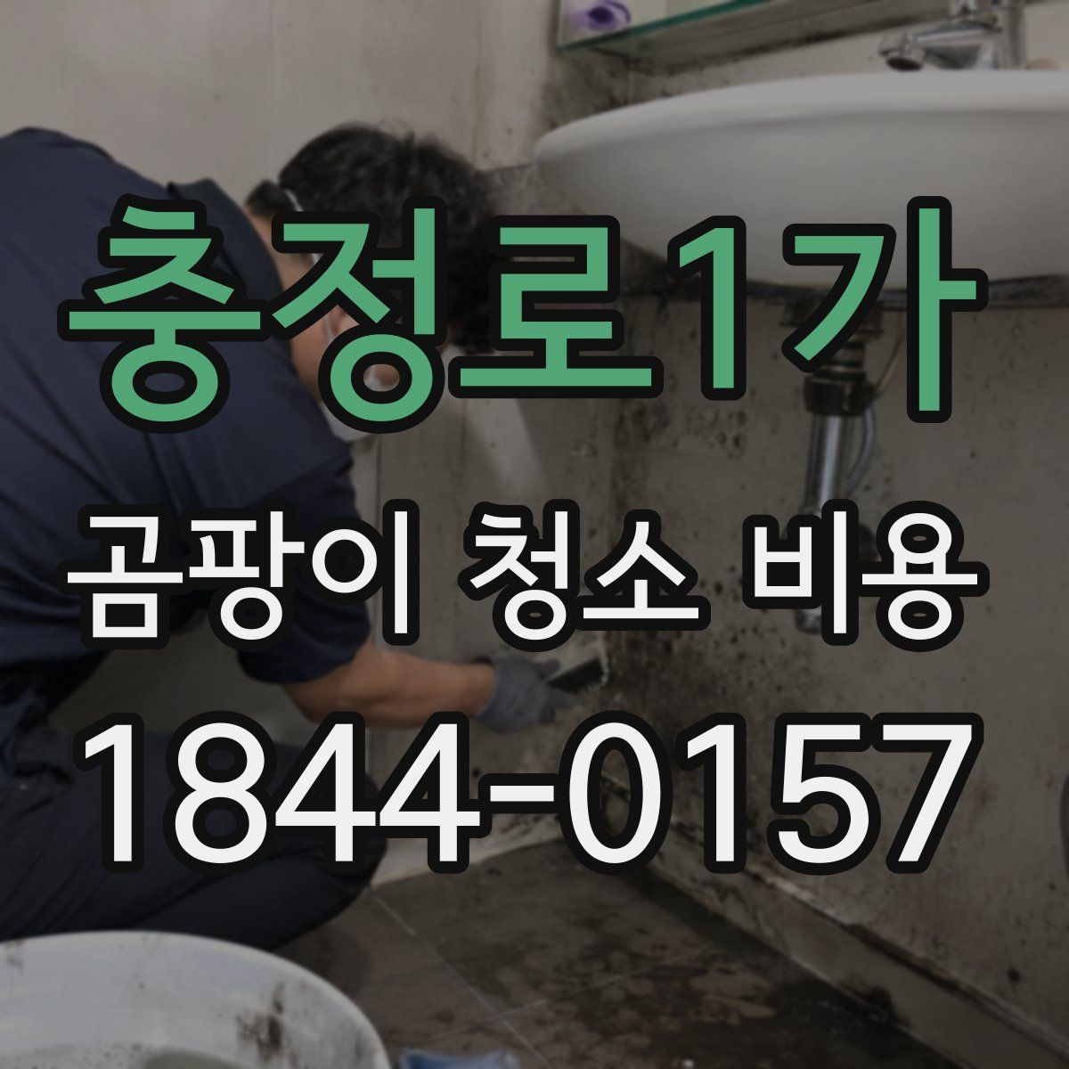 충정로1가 곰팡이 청소 비용