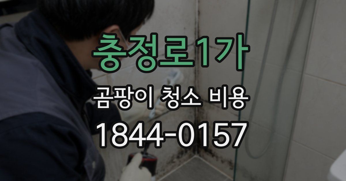 충정로1가 곰팡이 청소 비용