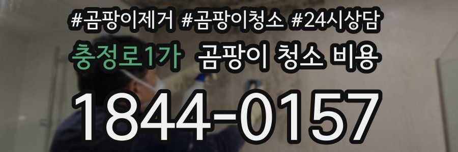 충정로1가 곰팡이 청소 비용