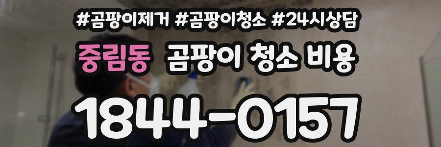 중림동 곰팡이 청소 비용