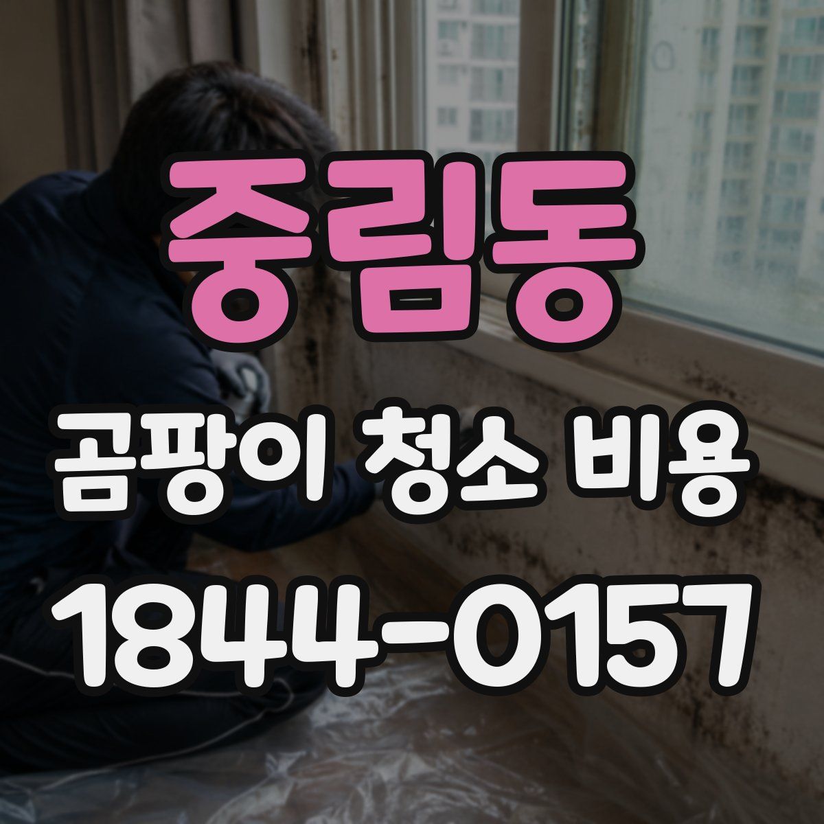 중림동 곰팡이 청소 비용