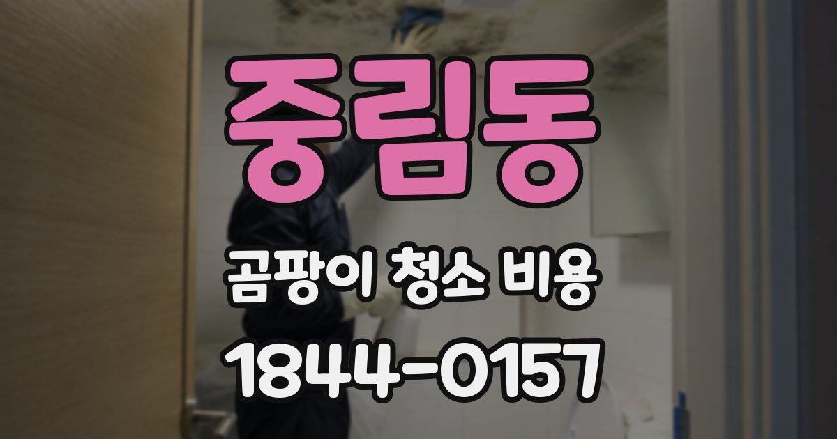 중림동 곰팡이 청소 비용