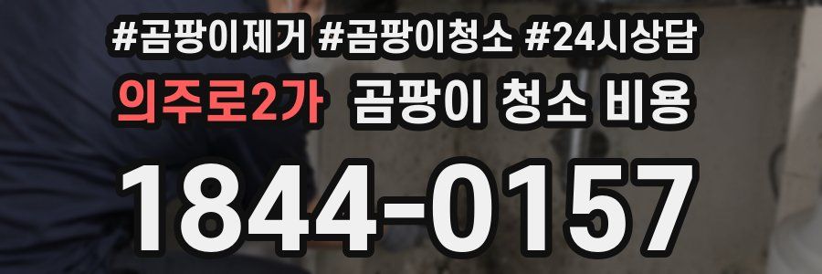 의주로2가 곰팡이 청소 비용