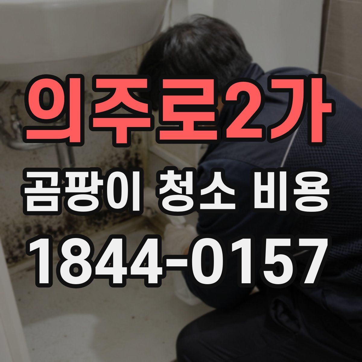 의주로2가 곰팡이 청소 비용