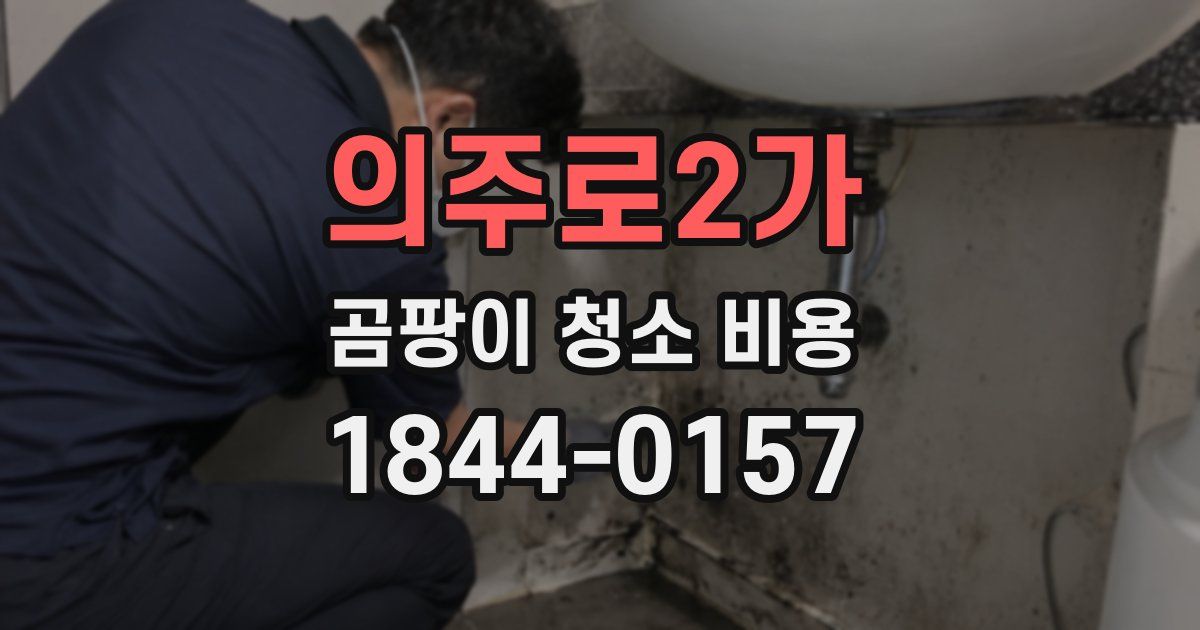 의주로2가 곰팡이 청소 비용