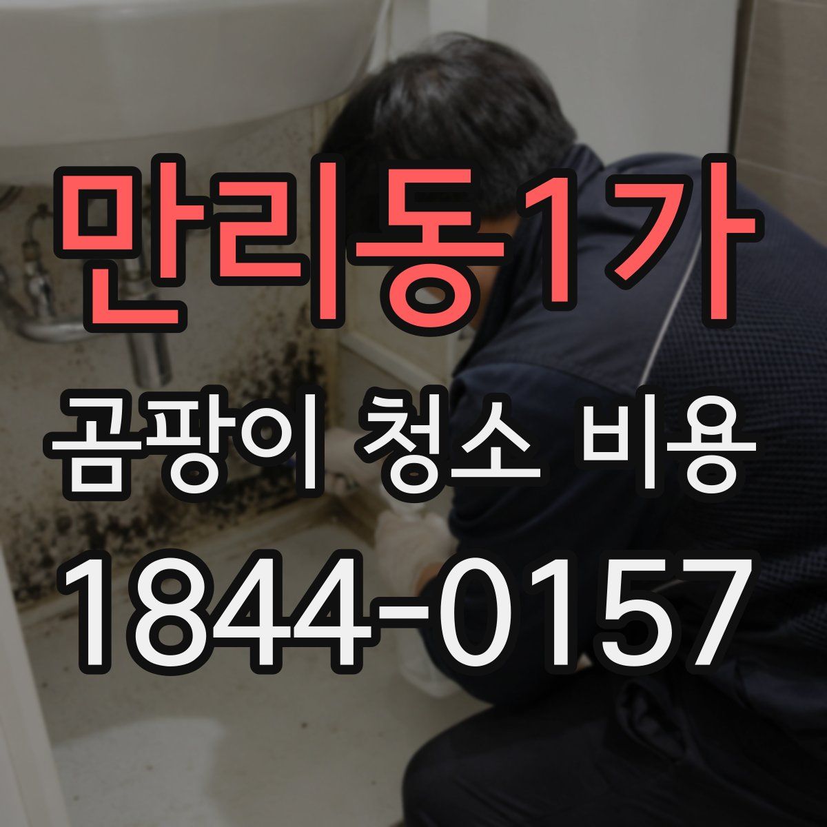 만리동1가 곰팡이 청소 비용