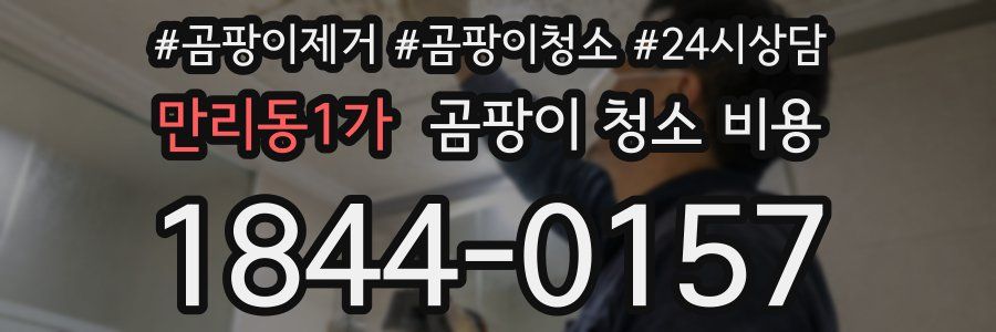 만리동1가 곰팡이 청소 비용