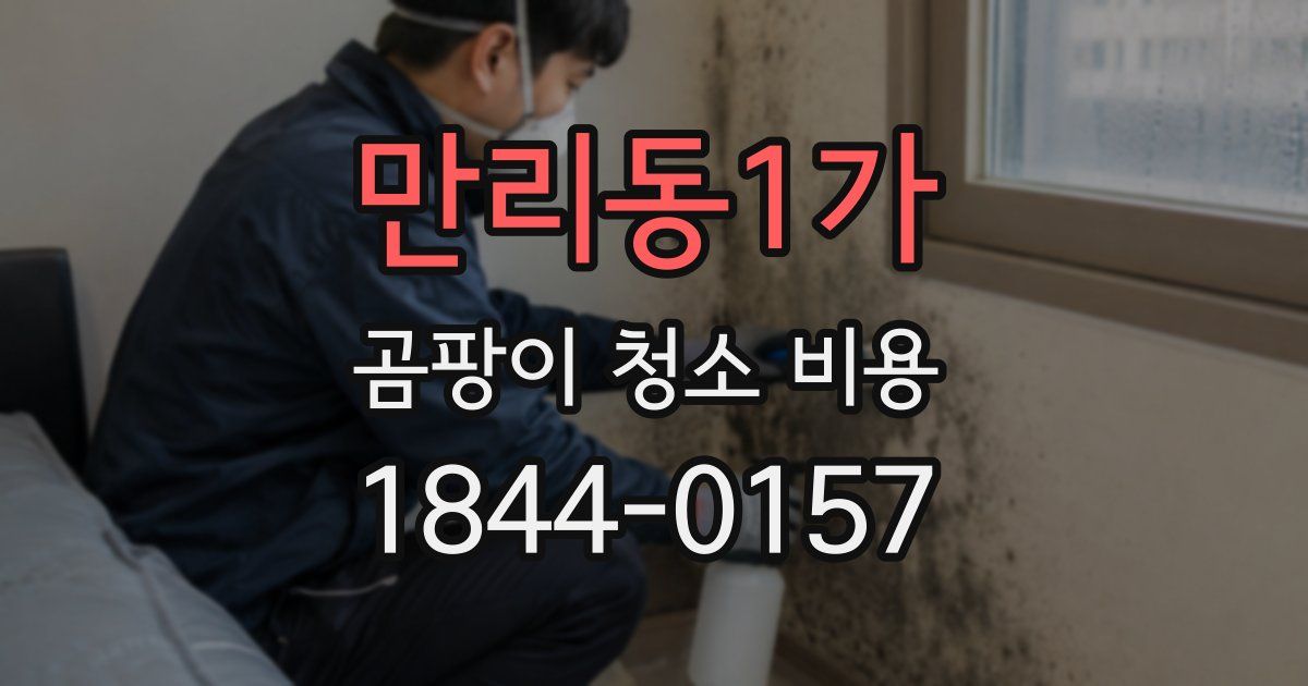 만리동1가 곰팡이 청소 비용