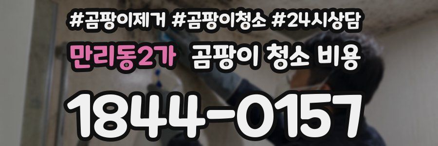 만리동2가 곰팡이 청소 비용