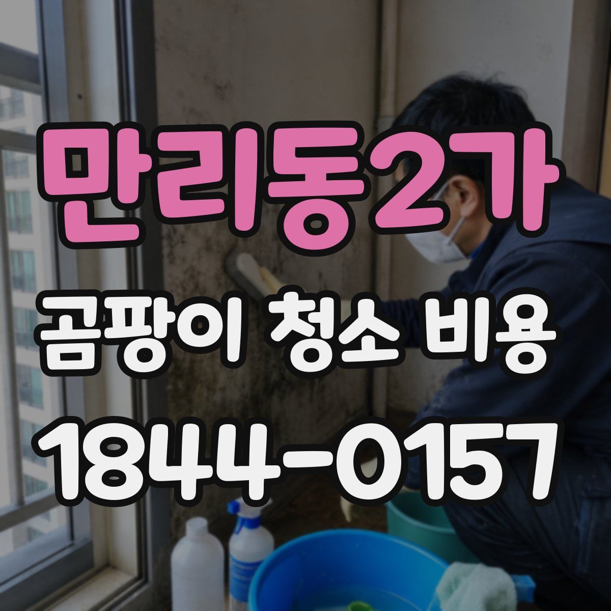 만리동2가 곰팡이 청소 비용