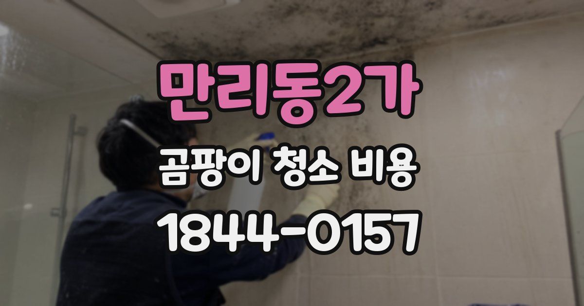 만리동2가 곰팡이 청소 비용