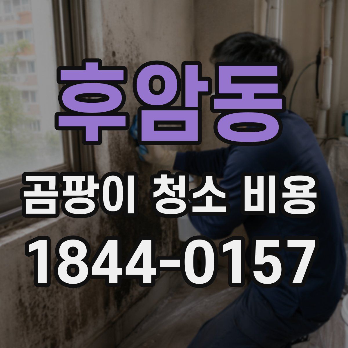 후암동 곰팡이 청소 비용