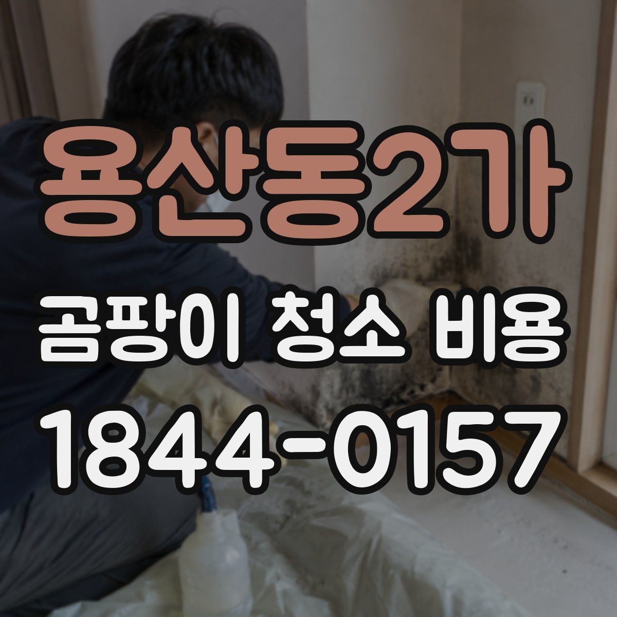 용산동2가 곰팡이 청소 비용 원인 해결이 어려운 경우와 점검할 항목