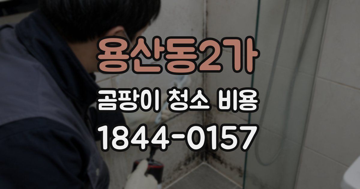 용산동2가 곰팡이 청소 비용