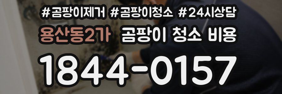 용산동2가 곰팡이 청소 비용