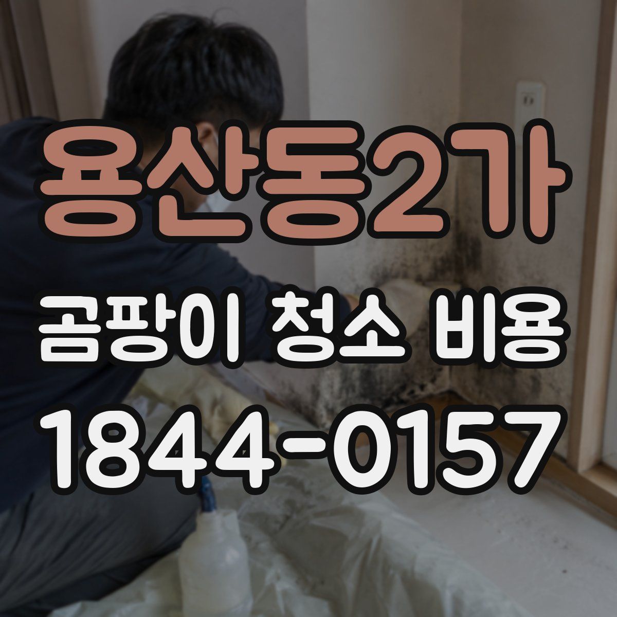용산동2가 곰팡이 청소 비용