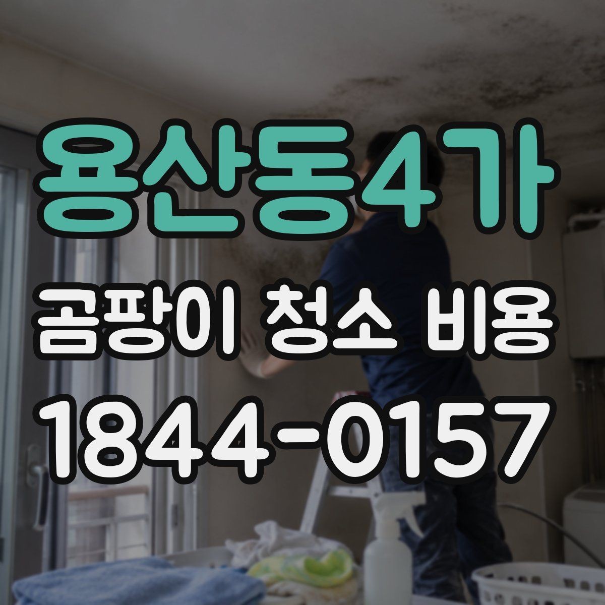 용산동4가 곰팡이 청소 비용 환기 불량 공간에서 작업이 어려운 이유
