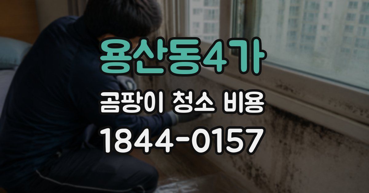 용산동4가 곰팡이 청소 비용
