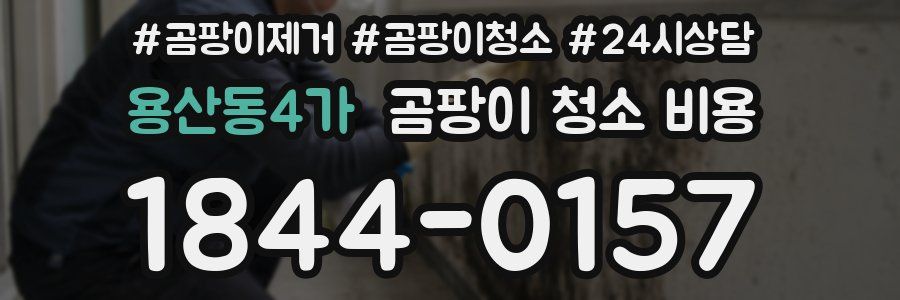 용산동4가 곰팡이 청소 비용