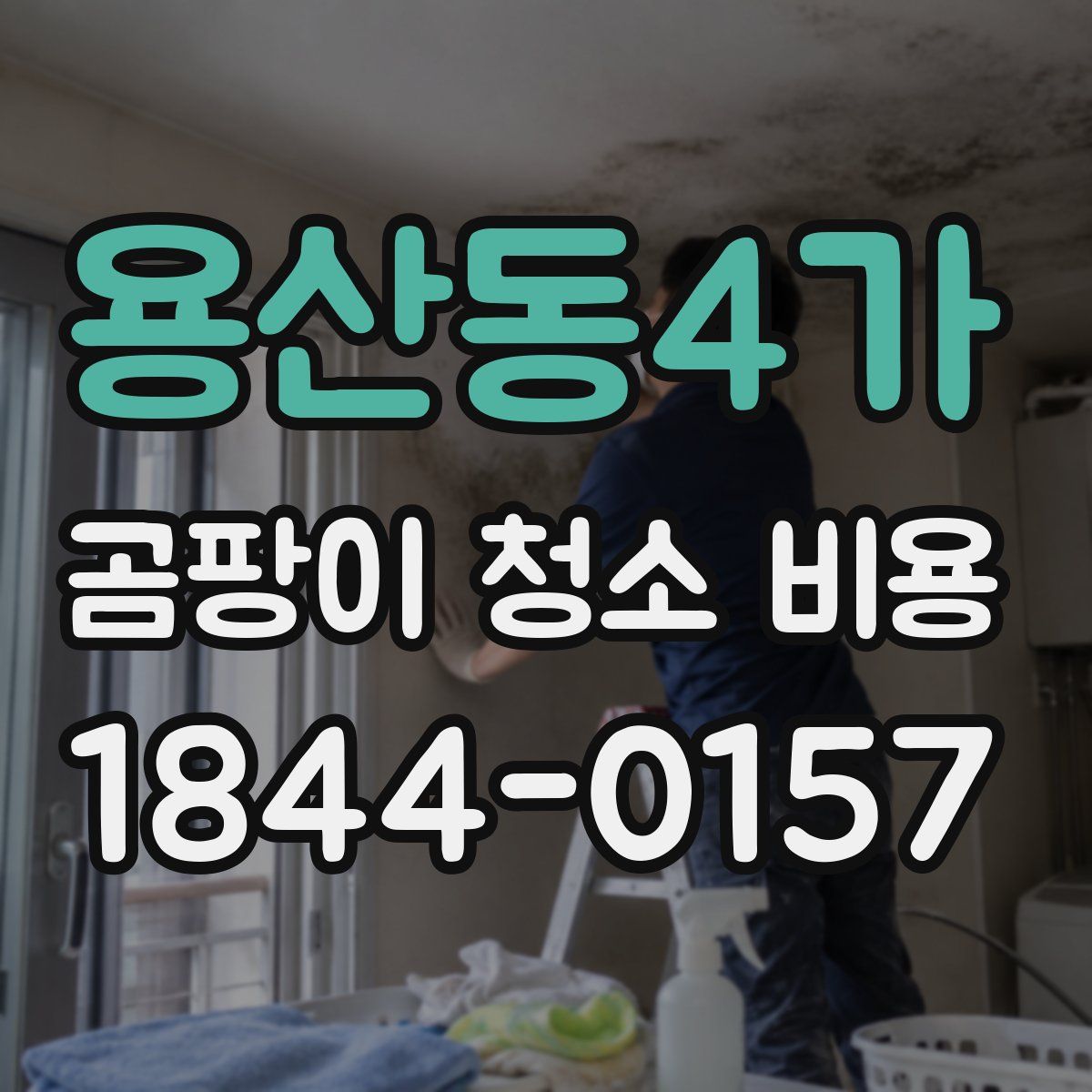 용산동4가 곰팡이 청소 비용